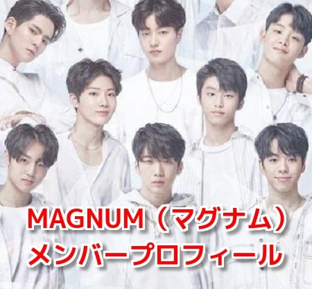 MAGNUM/ﾏｸﾞﾅﾑ韓国のメンバープロフィールや人気順は？日本デビュー日の噂も